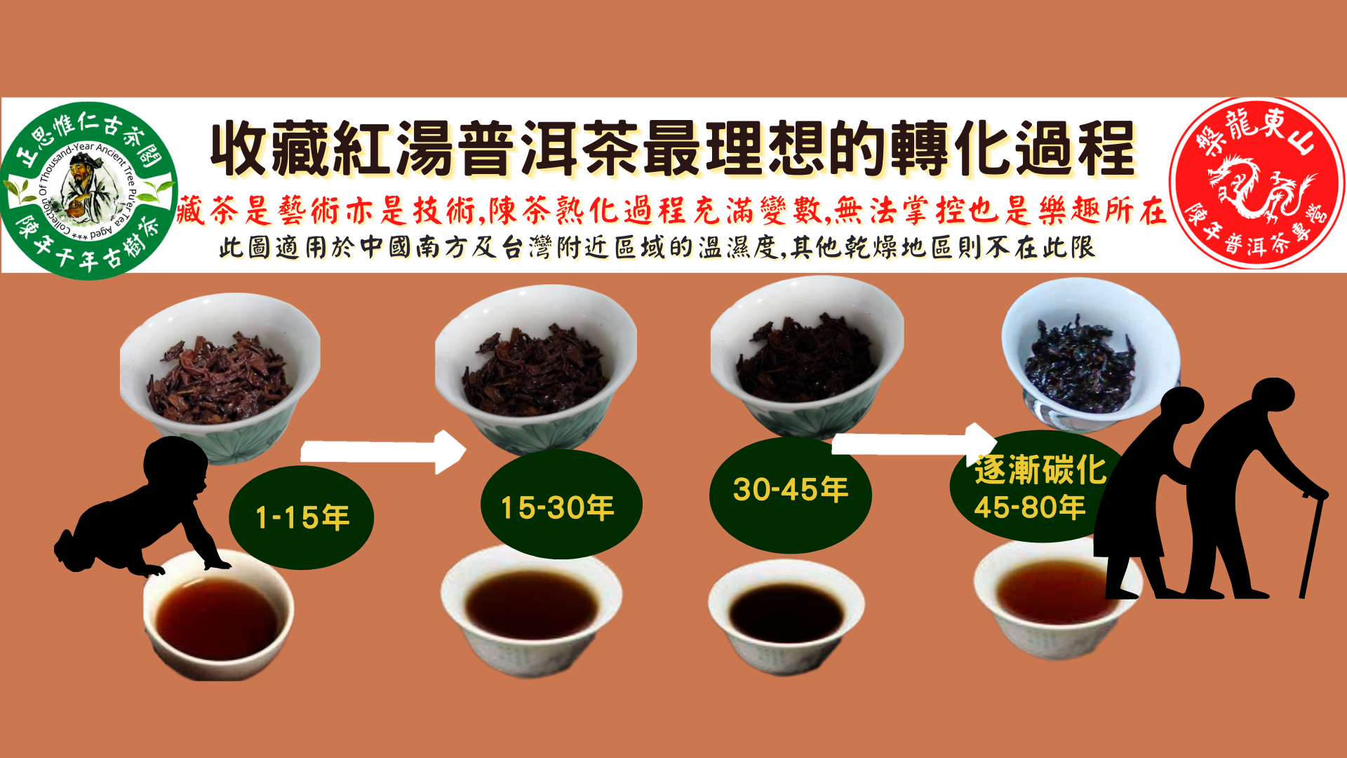 陳年普洱茶熟茶的轉化過程