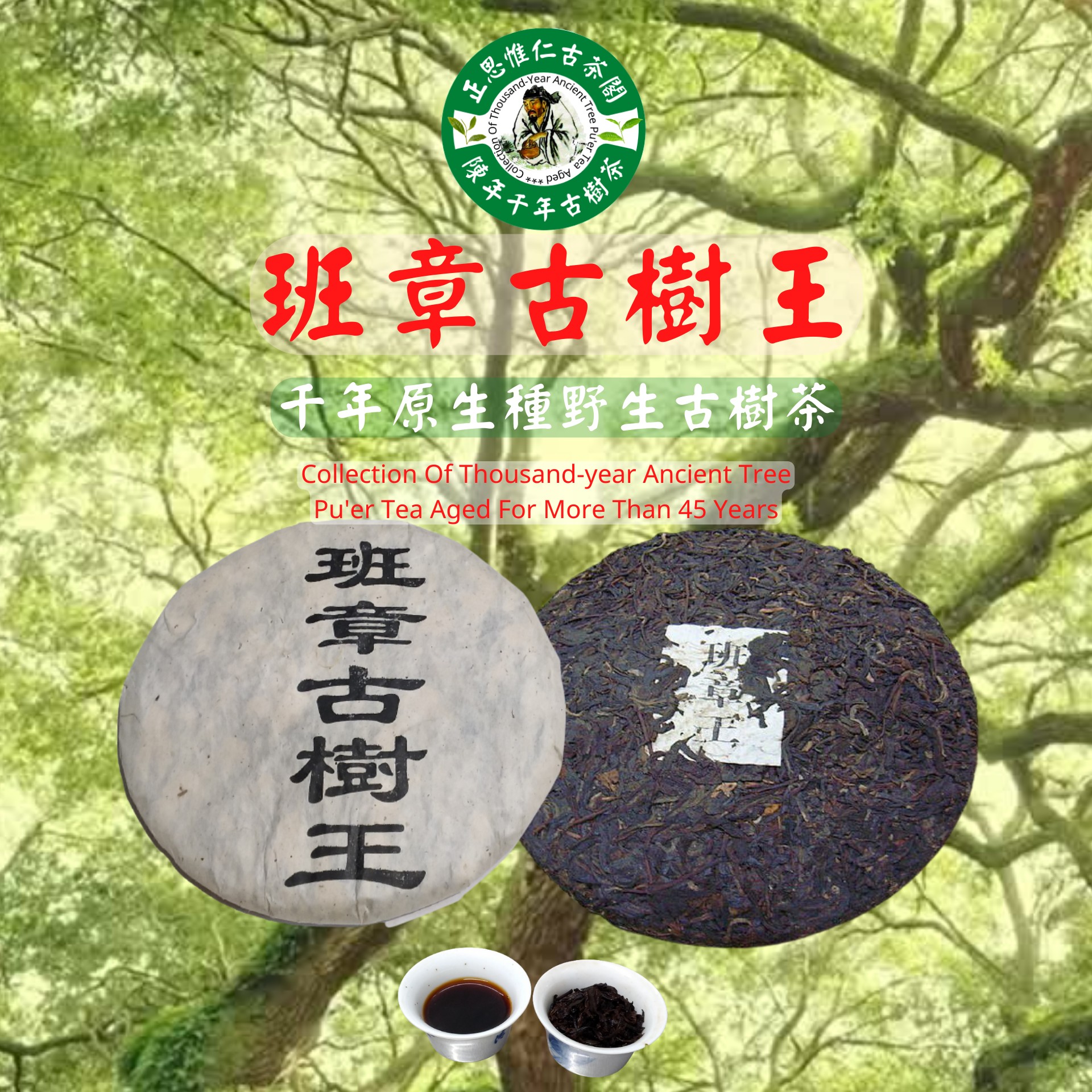 千年原生種野生古樹茶